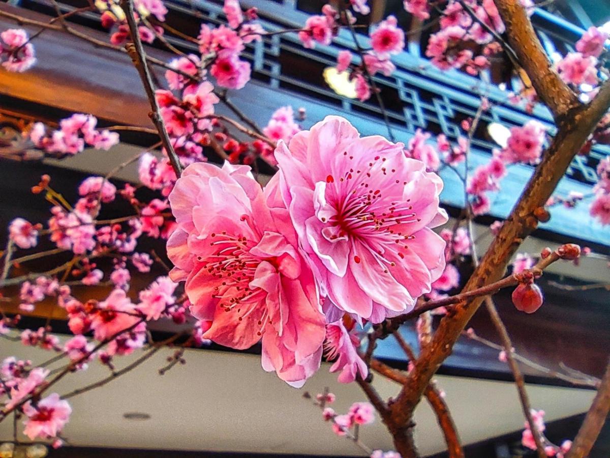 Doof Resort Hotel 리장 외부 사진